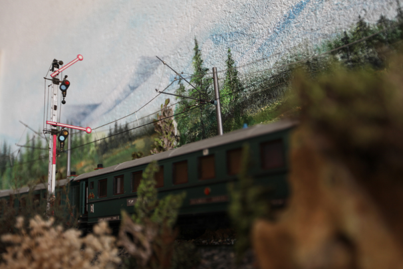Şenturan Model | DİORAMA