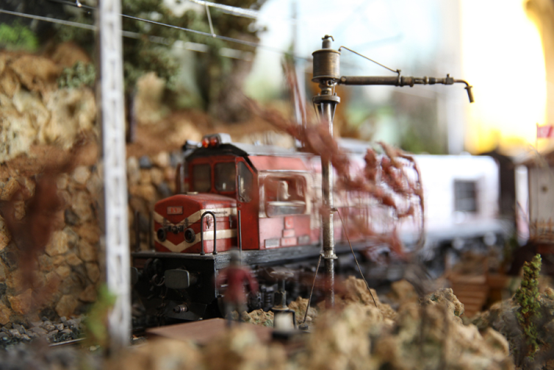 Şenturan Model | DİORAMA