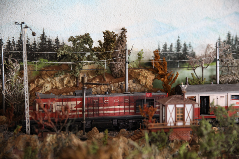 Şenturan Model | DİORAMA