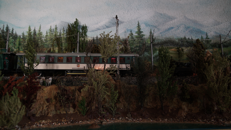 Şenturan Model | DİORAMA