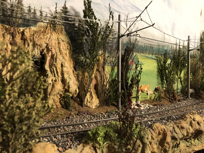 Şenturan Model | DİORAMA