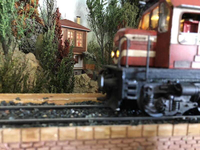 Şenturan Model | DİORAMA