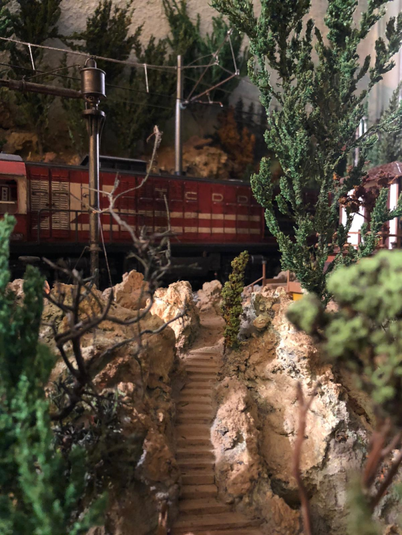 Şenturan Model | DİORAMA