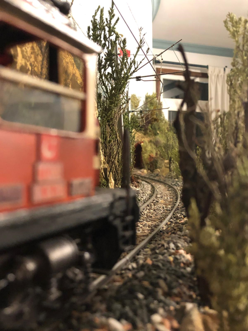 Şenturan Model | DİORAMA