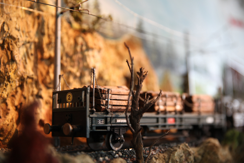 Şenturan Model | DİORAMA