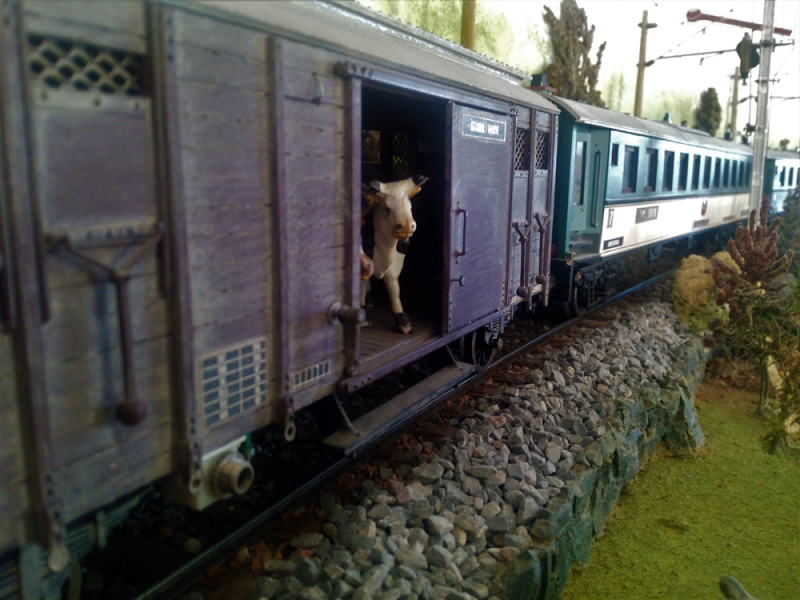 Şenturan Model | DİORAMA