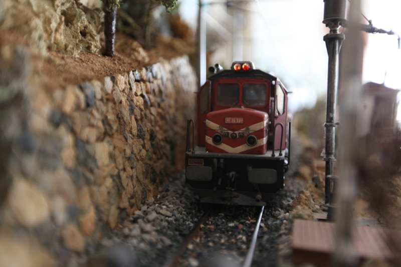 Şenturan Model | DİORAMA